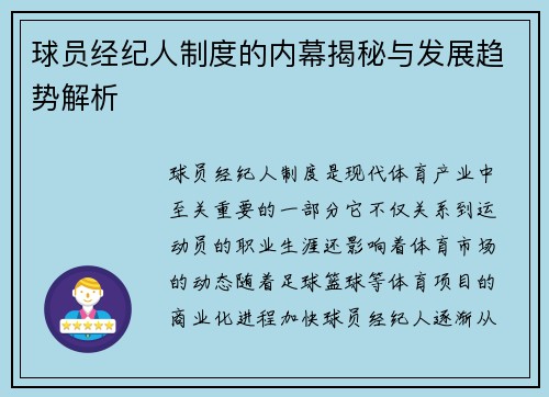 球员经纪人制度的内幕揭秘与发展趋势解析